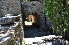 Tarendol